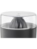 WMF Zitruspresse "Stelio" in Silber