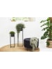 Lifa Living 2-delige set: plantenstandaards "Violet" zwart