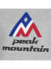 Peak Mountain Bluza w kolorze szarym