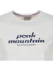 Peak Mountain Shirt grijs