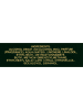 Dsquared² Green Wood - eau de toilette, 100 ml