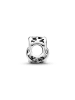 Pandora Srebrny charms