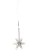 STAR Trading Ledlichtketting "Lighty" transparant - (L)150 cm