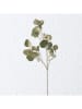 Boltze Decoratieve tak "Eucalyptus" groen - (B)30 x (H)82 cm