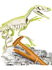 Clementoni Galileo-Ausgrabungsset "Velociraptor" - ab 7 Jahren