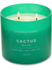 Colonial Candle Duftkerze "Cactus Rain" in Grün - 411 g