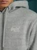 Superdry Hoodie lichtgrijs