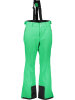 Dare 2b Spodnie narciarskie "Achieve II" w kolorze zielonym