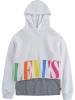 Levi's Kids Sweatshirt grijs