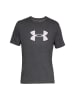 Under Armour Shirt in Anthrazit
