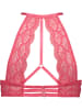 LASCANA Push-up beha rood