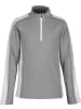 Icepeak Functioneel shirt "Fleminton" grijs