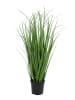 House Nordic Künstliches Poa Gras - (H)68 cm