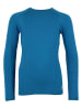 Peak Mountain Functioneel shirt blauw