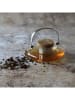 Ogo Living Theepot - 500 ml