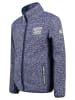 Geographical Norway Fleece vest "Tommy Lee" blauw