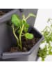 Gusta Garden Aardappeltoren "Paul Potato" grijs - (B)44 x (H)65 x (D)44 cm