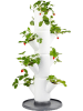 Gusta Garden System sadzenia  "Sissi Strawberry Starter" w kolorze białym - wys. 77 cm