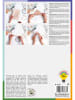 folia PAPER Designpapier "Romantik" in Bunt