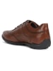 Geox Leren sneakers "Edgware" bruin