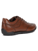 Geox Leder-Sneakers "Edgware" in Braun