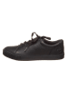 Timberland Leder-Sneakers "Skyla Bay" in Schwarz