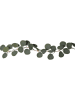 STAR Trading Ledeucalyptustak "Eucalyptus" groen - (L)180 cm