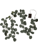 STAR Trading Ledeucalyptustak "Eucalyptus" groen - (L)180 cm