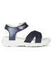 Geox Sandalen "Sukie" in Dunkelblau