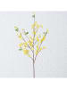 Boltze Kwiat dekoracyjny "Winter jasmine" w kolorze żółtym