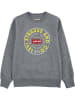 Levi's Kids Sweatshirt grijs