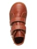 El Naturalista Leren sneakers bruin