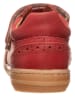 POM POM Skórzane sneakersy w kolorze rdzawoczerwonym
