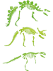 Toi-Toys Jajko "Dino skeleton" do wyklucia - 3+ (produkt niespodzianka)