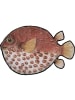Folkifreckles Badvorleger "Pez Globo" in Rot - (L)70 x (B)50 cm