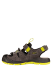 Keen Enkelsandalen "Balboa" antraciet