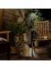 lumisky LED-Solarleuchte "Raffy" in Hellbraun - (H)33 cm