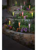 näve 10er-Set: LED-Solar-Gartenstecker "Multi" in Bunt - (H)25 cm