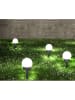 näve Solarne lampy ogrodowe LED (8 szt.) w kolorze biało-antracytowym - wys. 34 cm