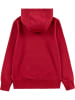 Levi's Kids Hoodie in Rot