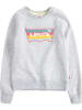 Levi's Kids Sweatshirt grijs