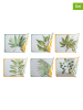 Villa d´Este 6er-Set: Tischsets "Oriental Botanique" in Grün/ Orange - (L)45 x (B)30 cm