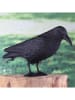 Garden Hero Decoratief figuur "Kraai" zwart - (B)38 x (H)13 x (D)11 cm