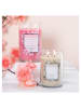 Colonial Candle Geurkaars "Pink Cherry Blossom" lichtroze - 510 g