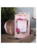Colonial Candle Duftkerze "Garden Peony" in Rosa - 510 g