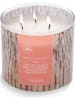 Colonial Candle Geurkaars "Maui Tiki Hut" lichtbruin - 411 g