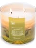 Colonial Candle Geurkaars "Napa Vineyard" groen/abrikooskleurig - 411 g