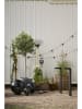 STAR Trading Ledsolarpadverlichting "Vici" zwart - (H)80 cm