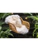 Lifa Living Schapenvacht crème - (L)100 x (B)70 cm