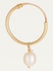 CARATELLI Gold-Creolen "Gama Perle" mit Perlen